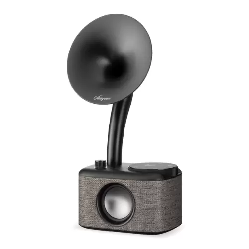CP-100D - GRIS-NOIR