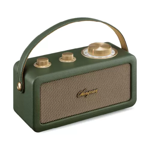 RA-101 - FORET-OR