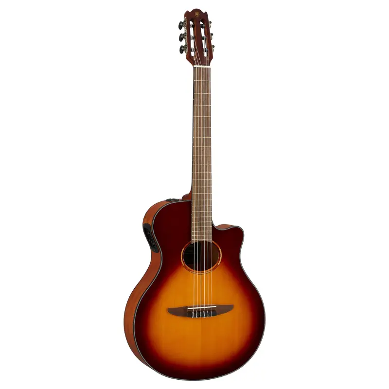 NTX1 - Brown Sunburst