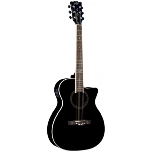 Eko NXT A100CWE Auditorium cutaway See Through Black