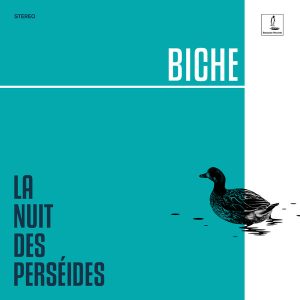 BICHE - LA NUIT DES PERSEIDES