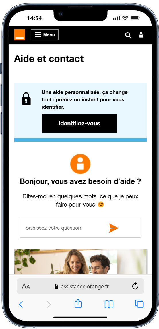 ACCORDEUR CHAT ORANGE