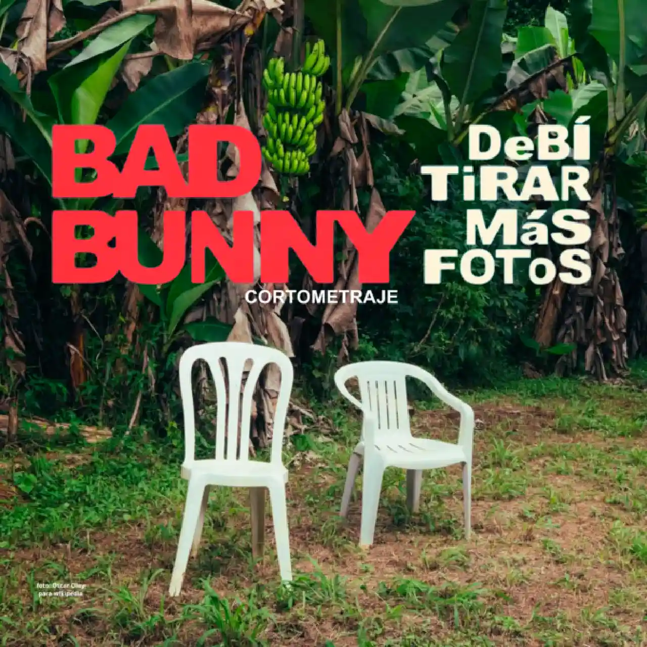 BAD BUNNY DEBI TIRAR MAS FOTOS